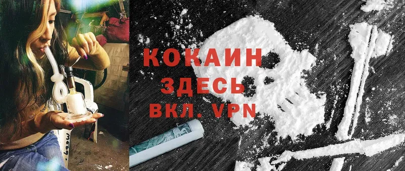 Cocaine Эквадор  mega зеркало  Заволжье 