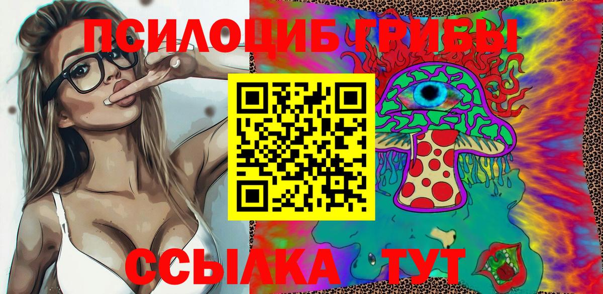Заволжье  Галлюциногенные грибы Cubensis  Вход с VPN 