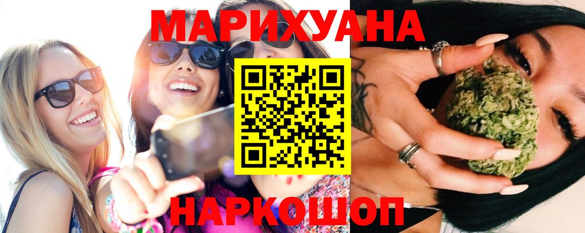 Конопля гибрид  Заволжье  Канабис марихуана 